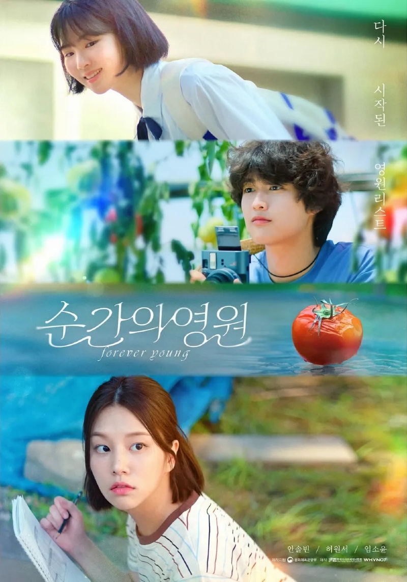 순간의 영원 2025.jpg