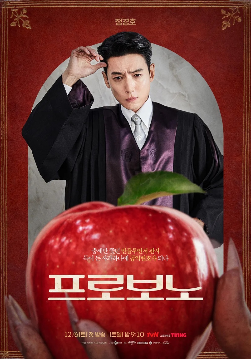 프로보노 2025 A2.jpg